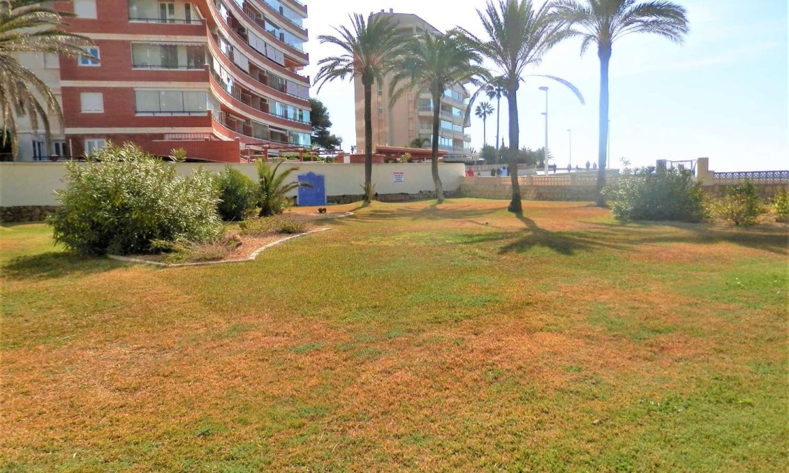 Wiederverkauf - Wohnung -
Calpe - Costa Blanca