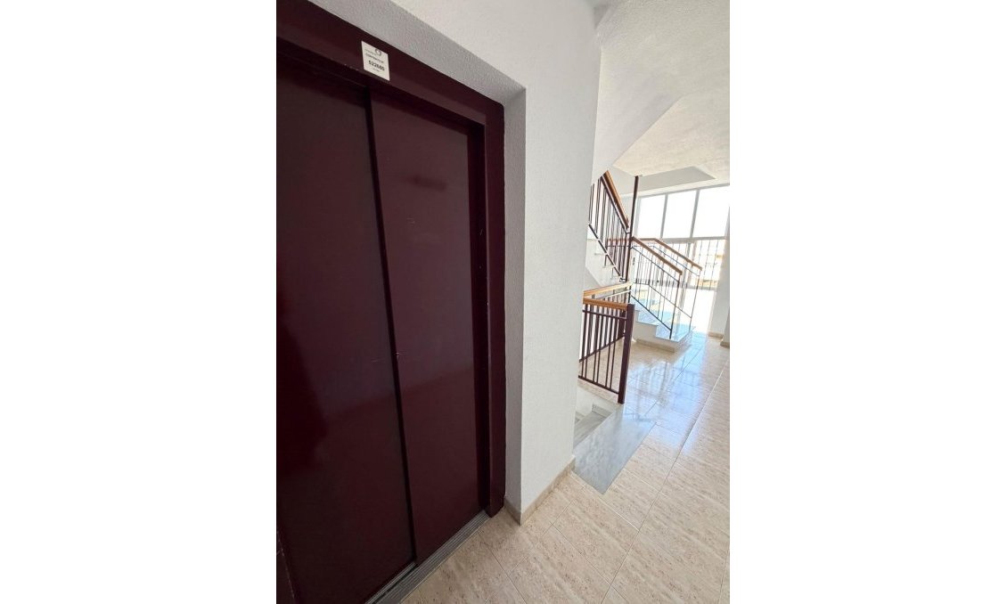 Wiederverkauf - Wohnung -
Torrevieja - Los Europeos