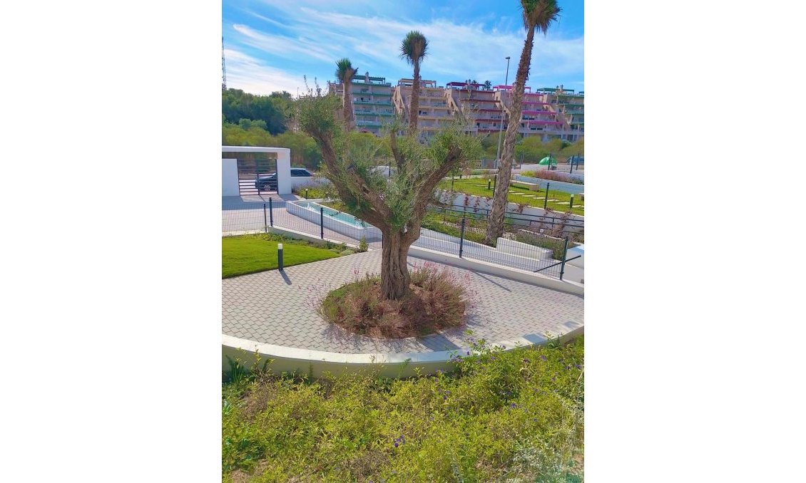 Wiederverkauf - Wohnung -
Villamartin - Costa Blanca