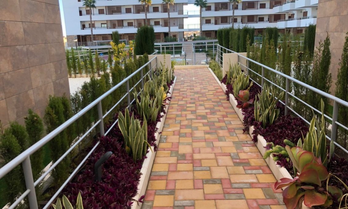Wiederverkauf - Wohnung -
Cabo Roig - Costa Blanca