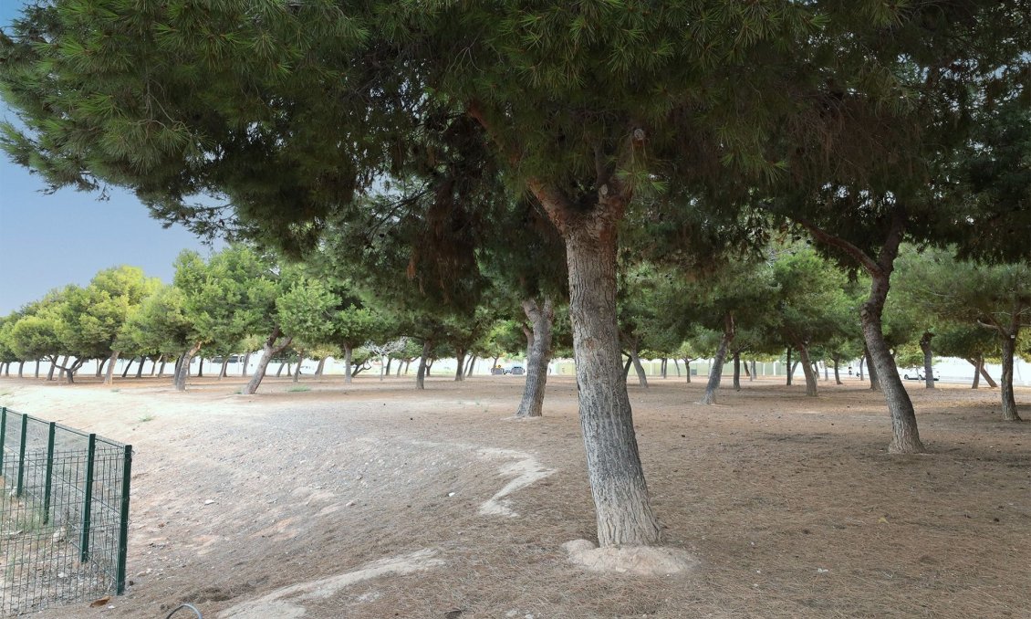 Segunda mano - Bungalow -
San Pedro del Pinatar - Costa Calida