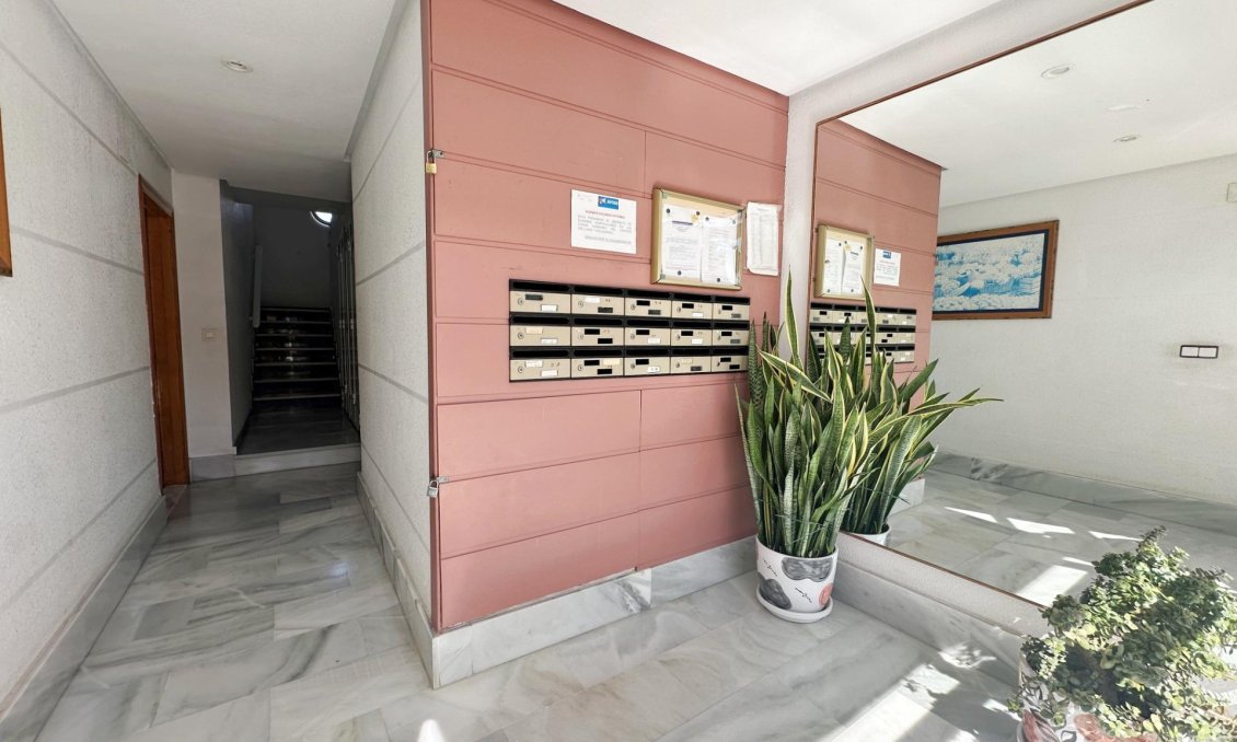 Segunda mano - Apartamento -
Torrevieja - Playa del Cura