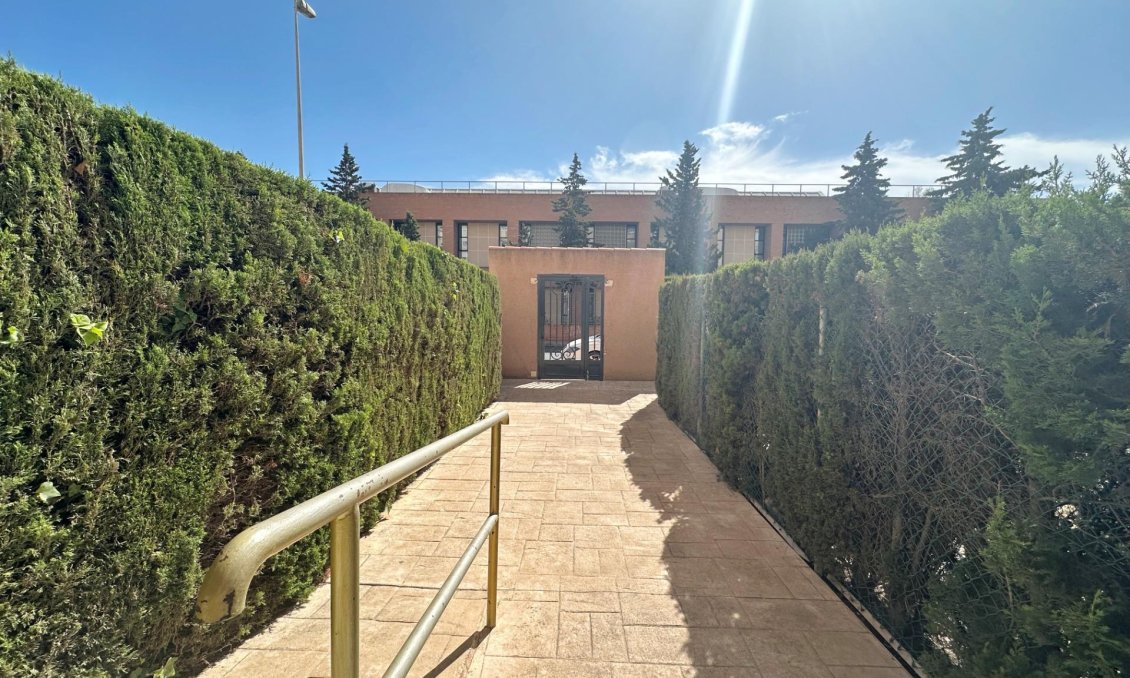 Segunda mano - Apartamento -
Torrevieja - Playa del Cura
