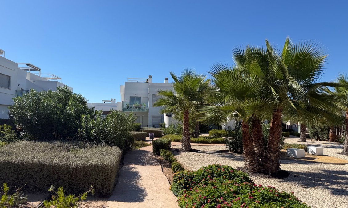 Segunda mano - Apartamento -
Orihuela Costa - Costa Blanca