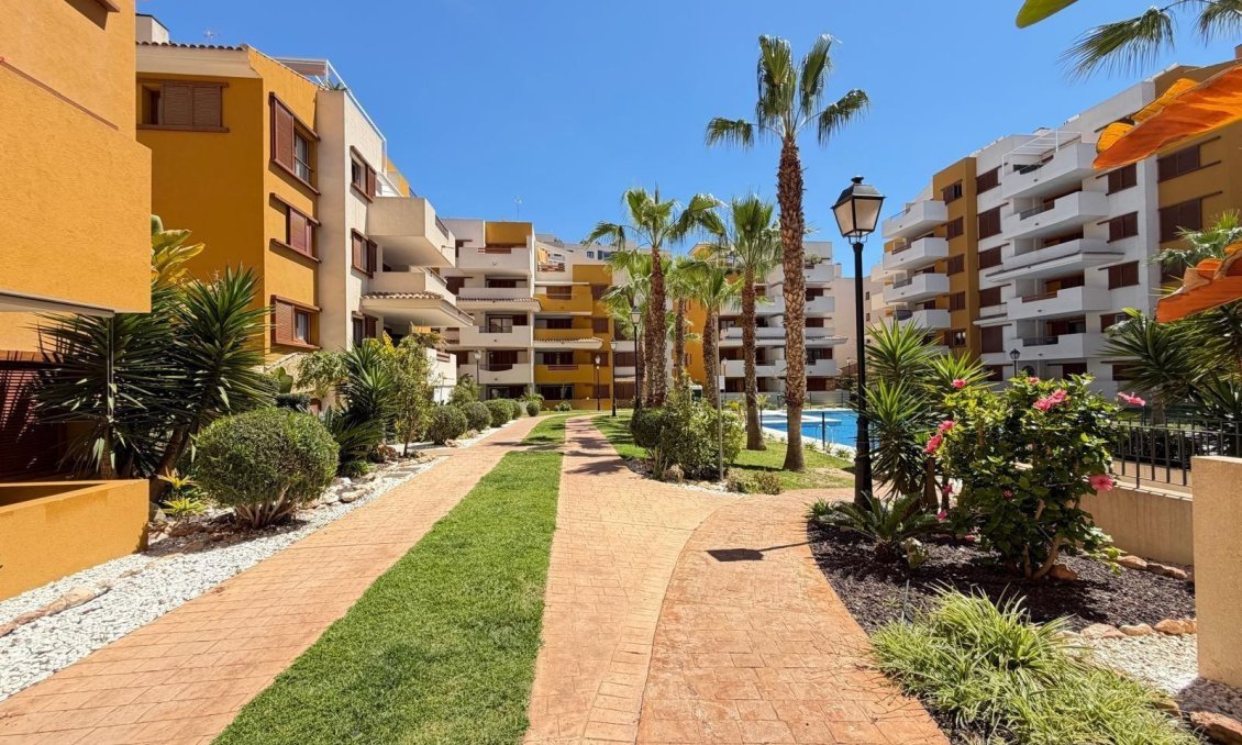 Segunda mano - Apartamento -
Torrevieja - Punta Prima