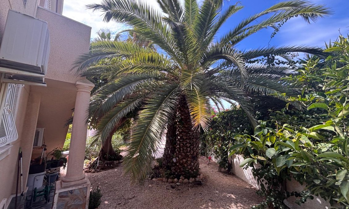 Revânzare - Vilă -
Ciudad Quesada - Costa Blanca
