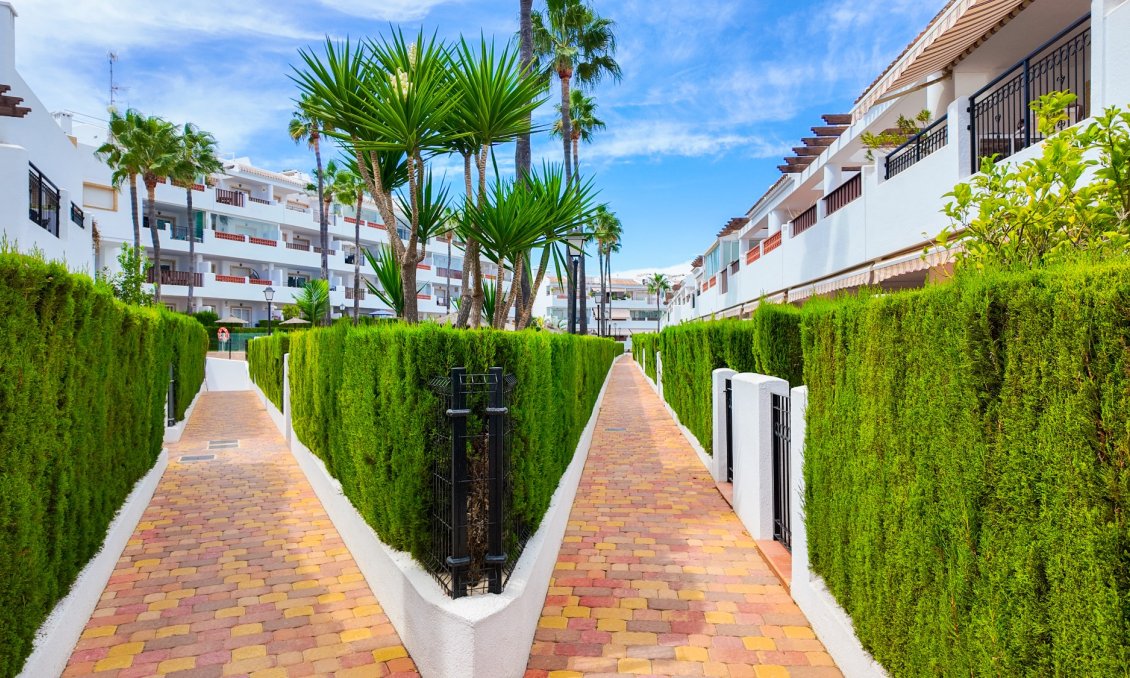 Használt Ingatlanok - Apartman -
Orihuela Costa - Costa Blanca