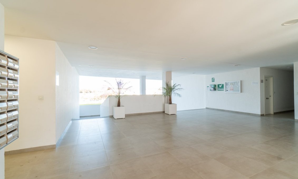 Segunda mano - Apartamento -
San Miguel de Salinas - Inland