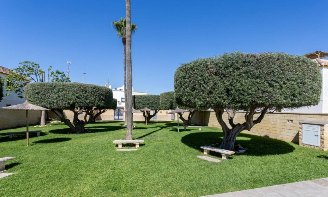 Segunda mano - Apartamento -
Torrevieja - Costa Blanca