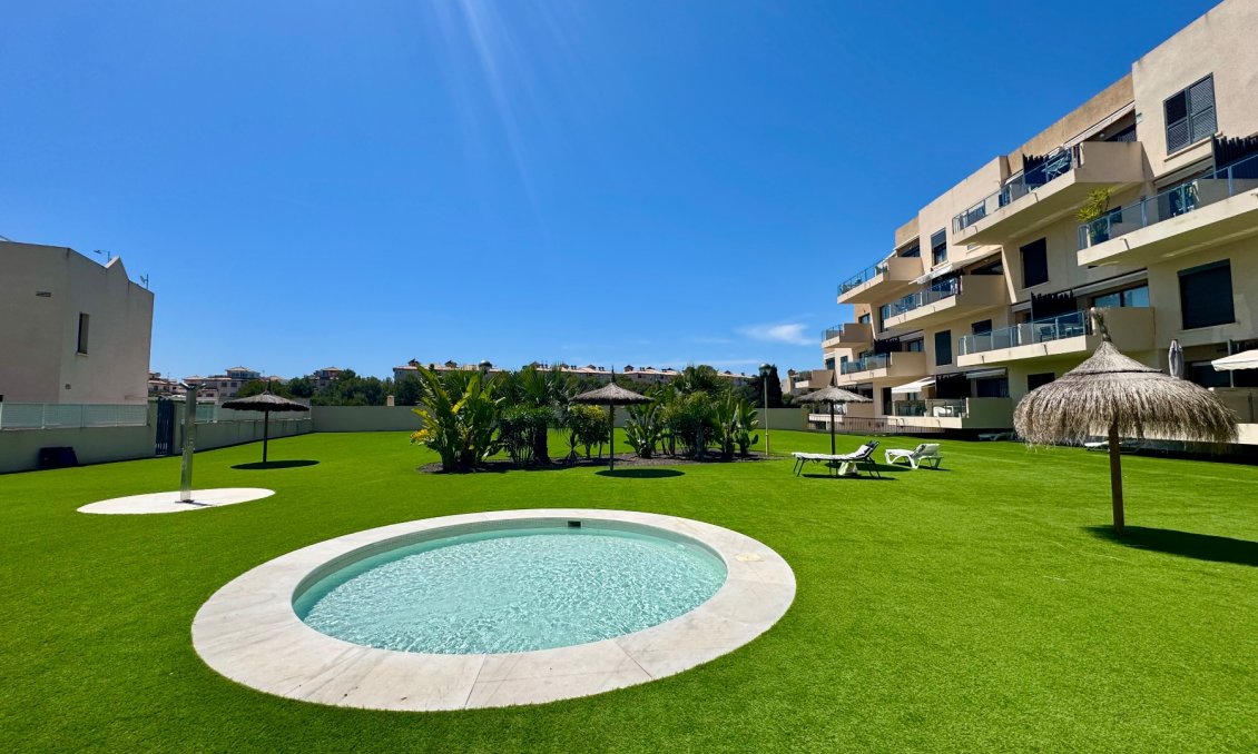Segunda mano - Apartamento -
Orihuela - Inland