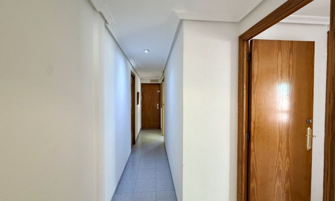 Segunda mano - Apartamento -
Elche - Costa Blanca