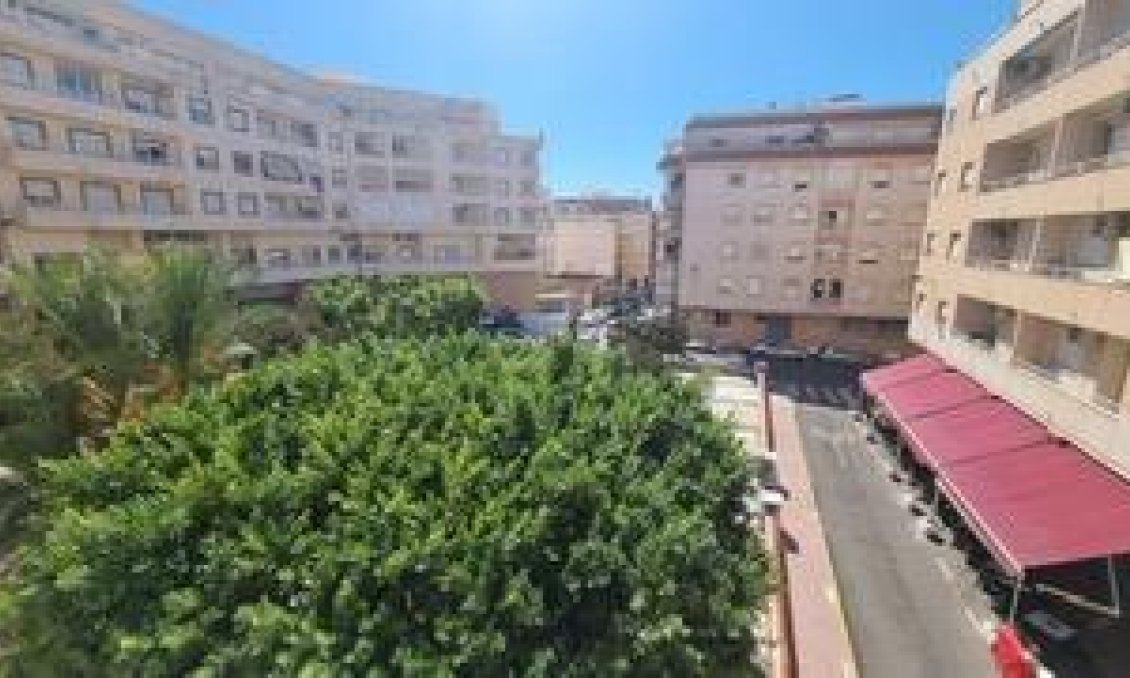 Segunda mano - Apartamento -
Torrevieja - Centro
