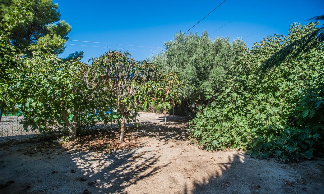 Segunda mano - Villa -
Orihuela - Inland