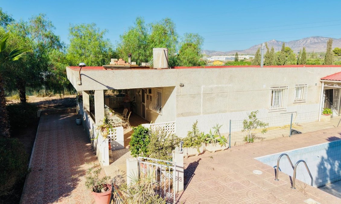 Segunda mano - Villa -
Crevillent - Inland