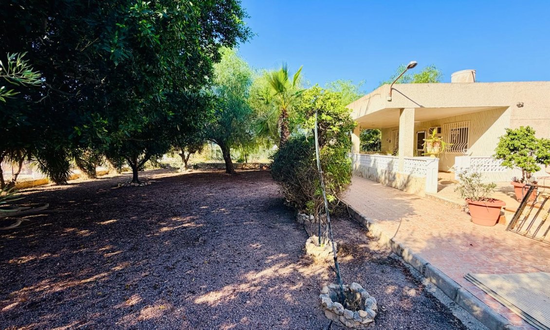 Segunda mano - Villa -
Crevillent - Inland