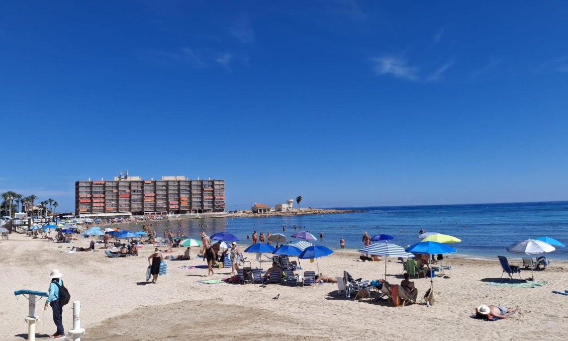 Wiederverkauf - Wohnung -
Torrevieja - Playa de los Locos