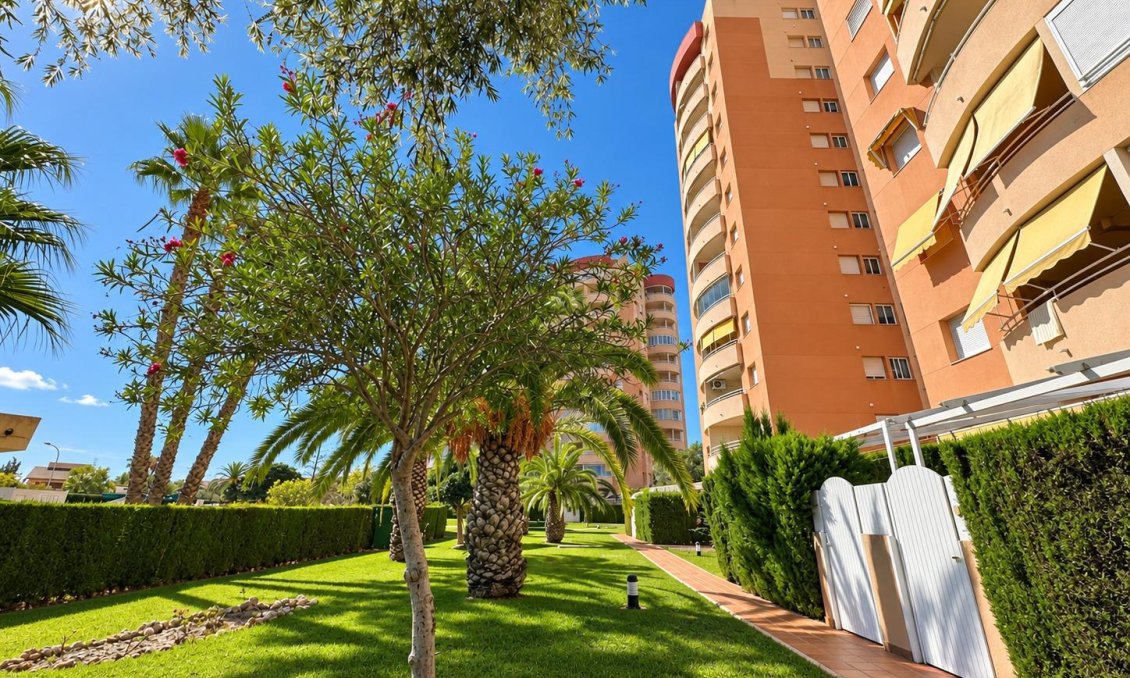Segunda mano - Apartamento -
Orihuela Costa - Campoamor