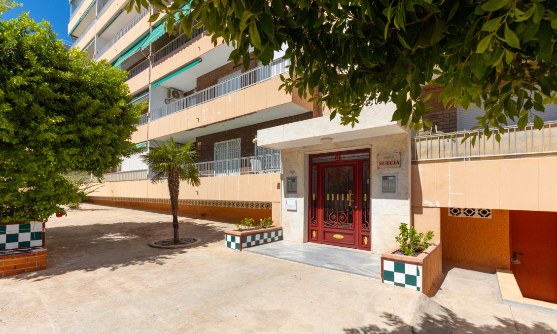 Használt Ingatlanok - Apartman -
Torrevieja - Costa Blanca