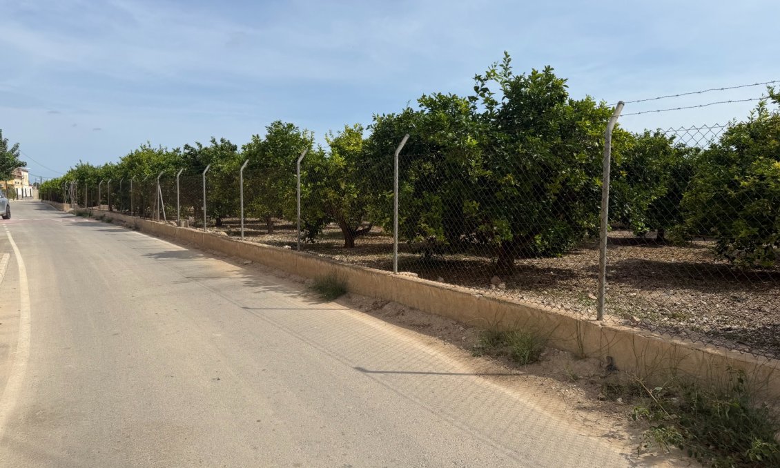Segunda mano - Apartamento -
Benejúzar - Inland