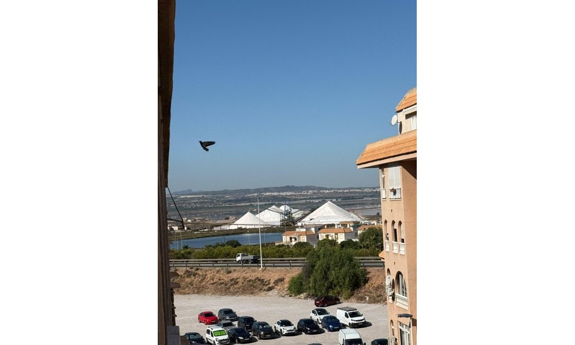 Segunda mano - Apartamento -
Torrevieja - PARQUE DE LAS NACIONES