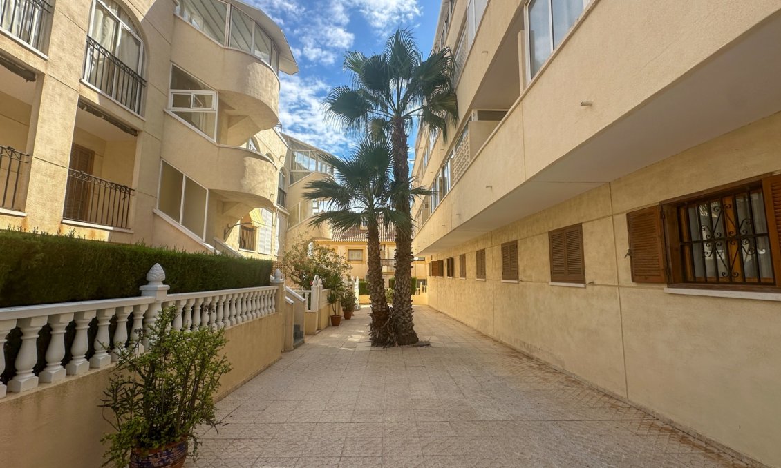 Segunda mano - Apartamento -
La Zenia - Costa Blanca