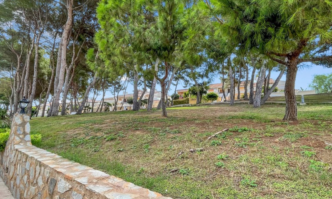 Segunda mano - Apartamento -
Mil Palmeras - Costa Blanca