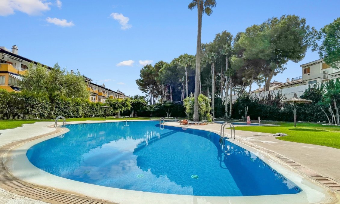 Segunda mano - Apartamento -
Mil Palmeras - Costa Blanca
