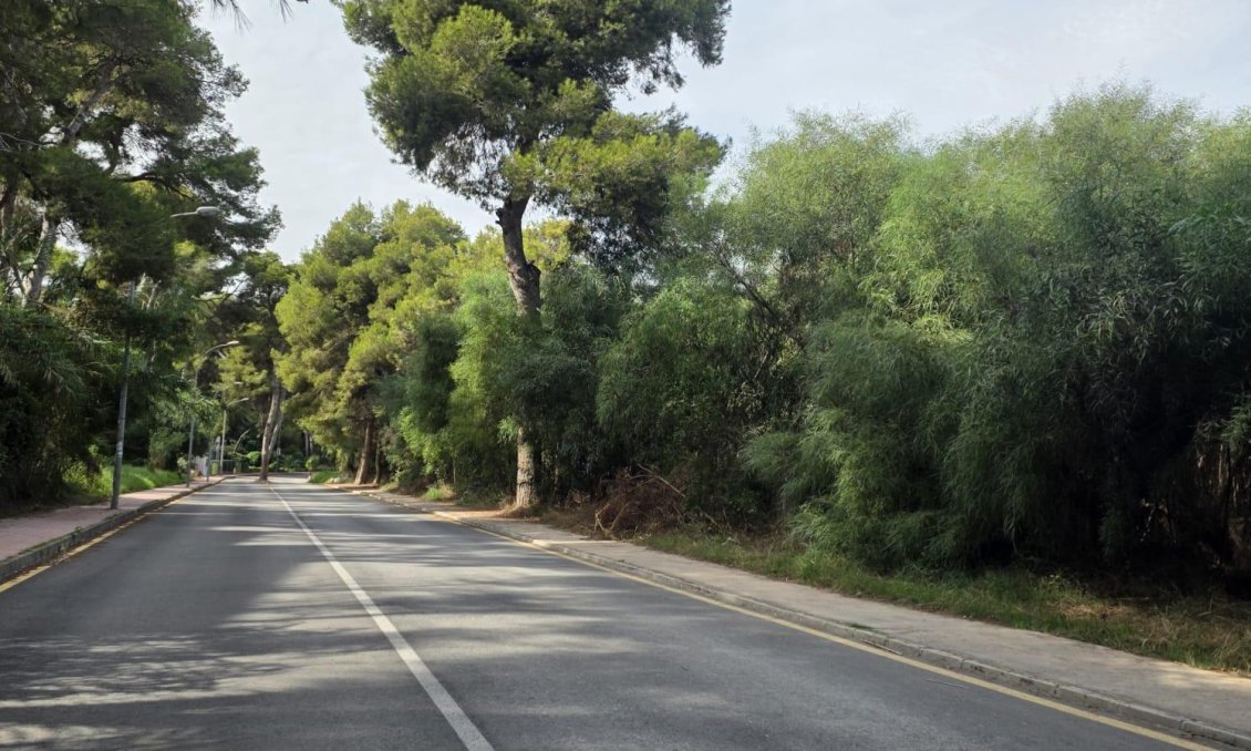 Wiederverkauf - Wohnung -
Orihuela Costa - Altos De Campoamor