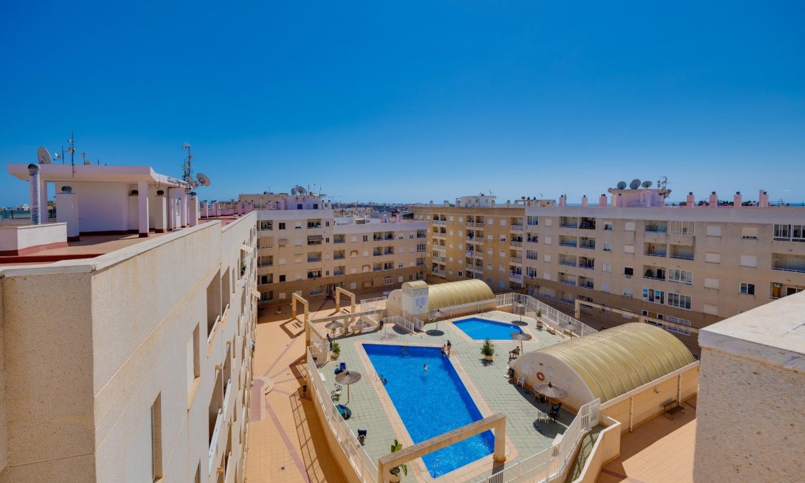 Segunda mano - Apartamento -
Torrevieja - Centro