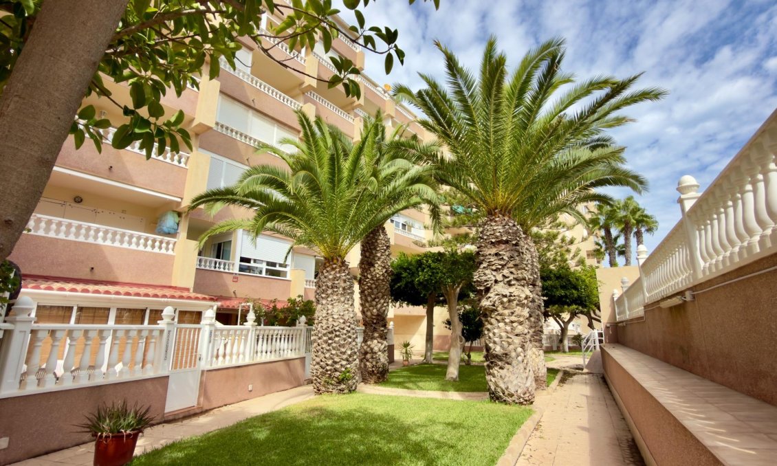 Segunda mano - Apartamento -
Guardamar del Segura - Urbanizaciones