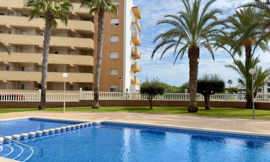 Segunda mano - Apartamento -
Guardamar del Segura - Urbanizaciones