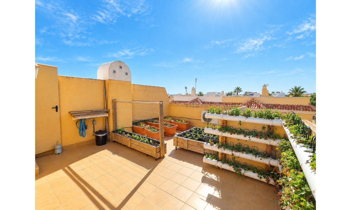Segunda mano - Adosado -
Ciudad Quesada - Costa Blanca