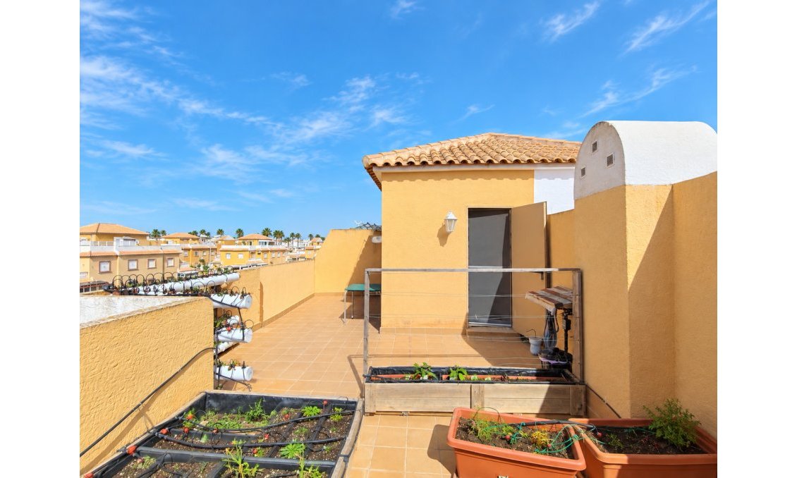 Segunda mano - Adosado -
Ciudad Quesada - Costa Blanca