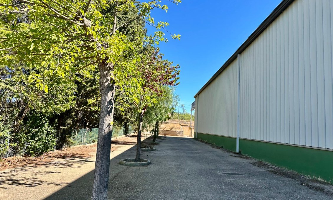 Segunda mano - Villa -
Yecla - Inland