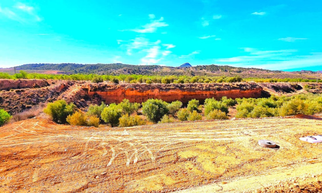 Revente - Villa -
Macisvenda - Inland