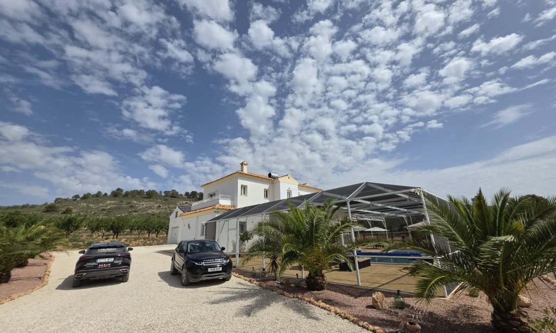 Segunda mano - Villa -
Pinoso - Inland