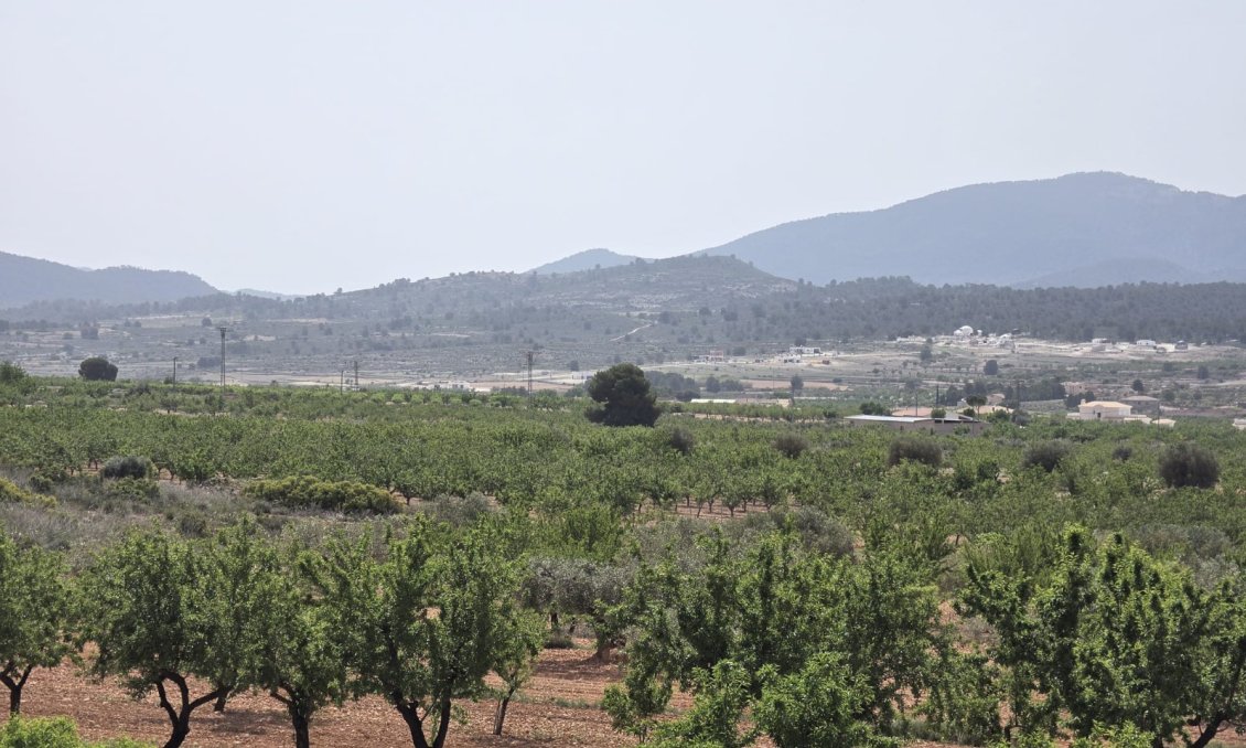 Segunda mano - Villa -
Pinoso - Inland