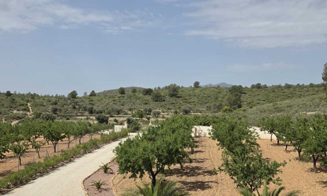 Segunda mano - Villa -
Pinoso - Inland