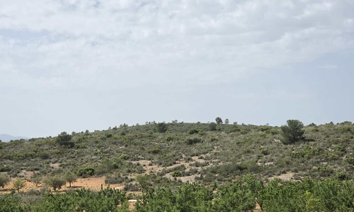 Segunda mano - Villa -
Pinoso - Inland
