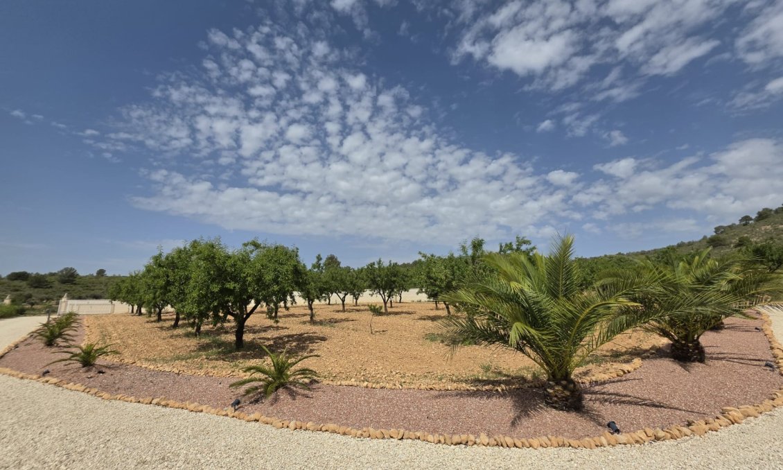 Segunda mano - Villa -
Pinoso - Inland