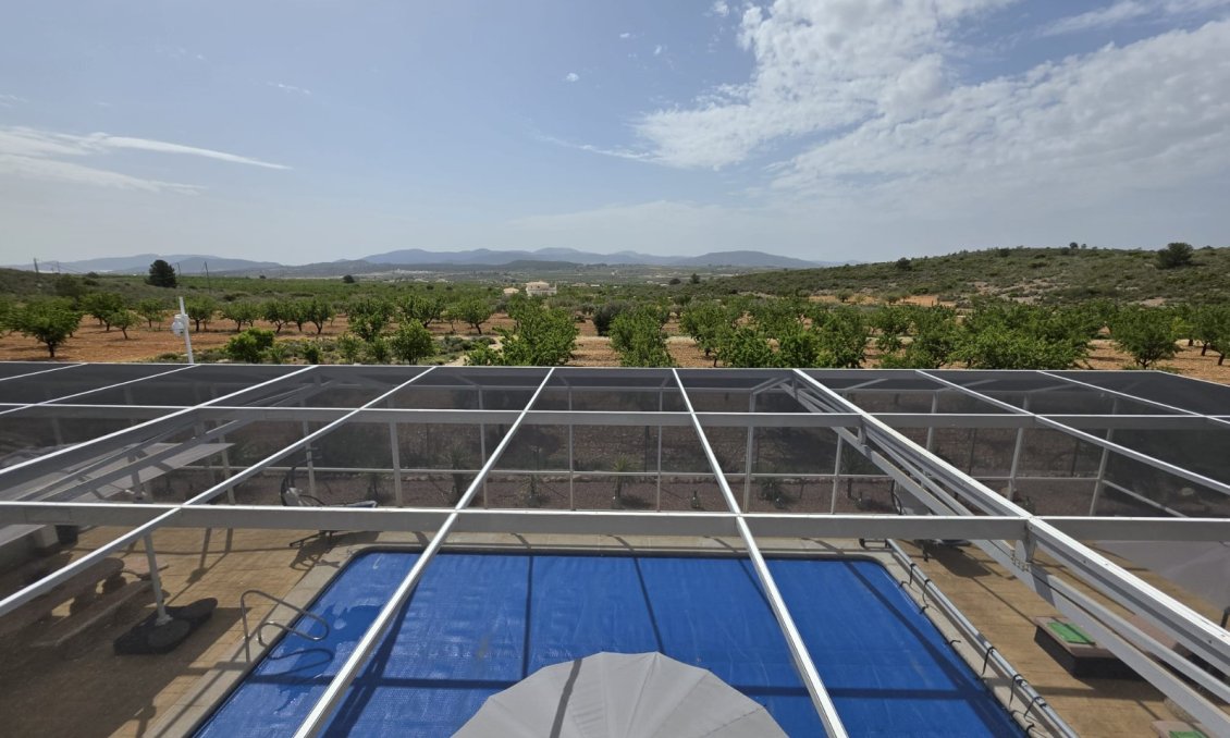 Segunda mano - Villa -
Pinoso - Inland