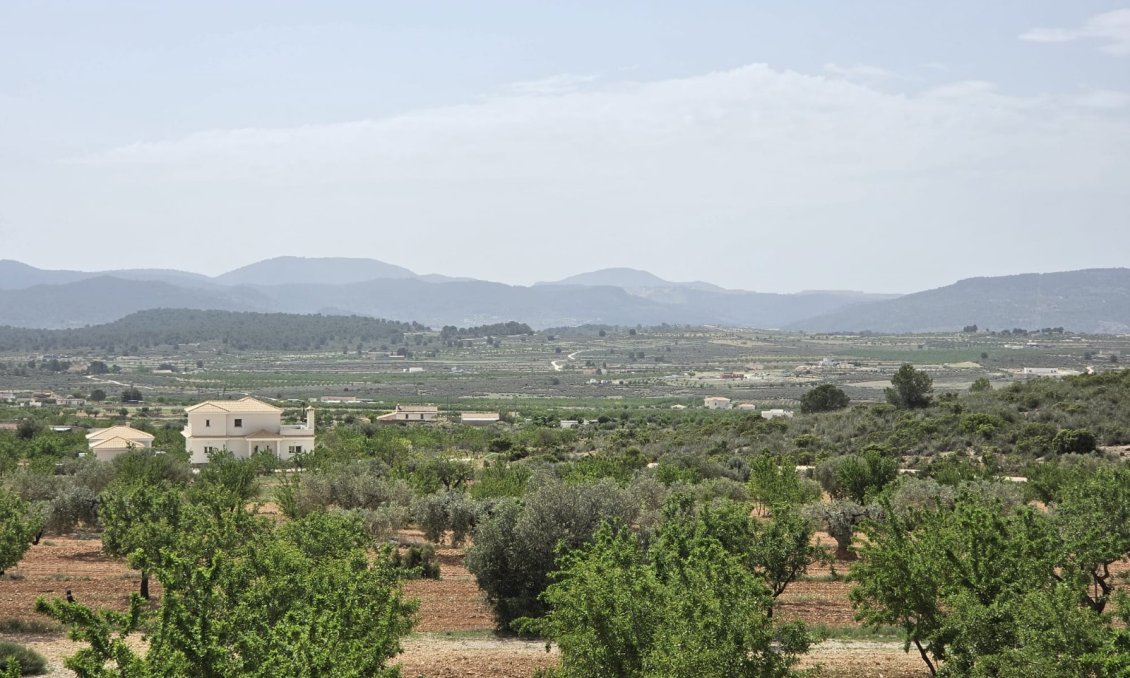 Segunda mano - Villa -
Pinoso - Inland