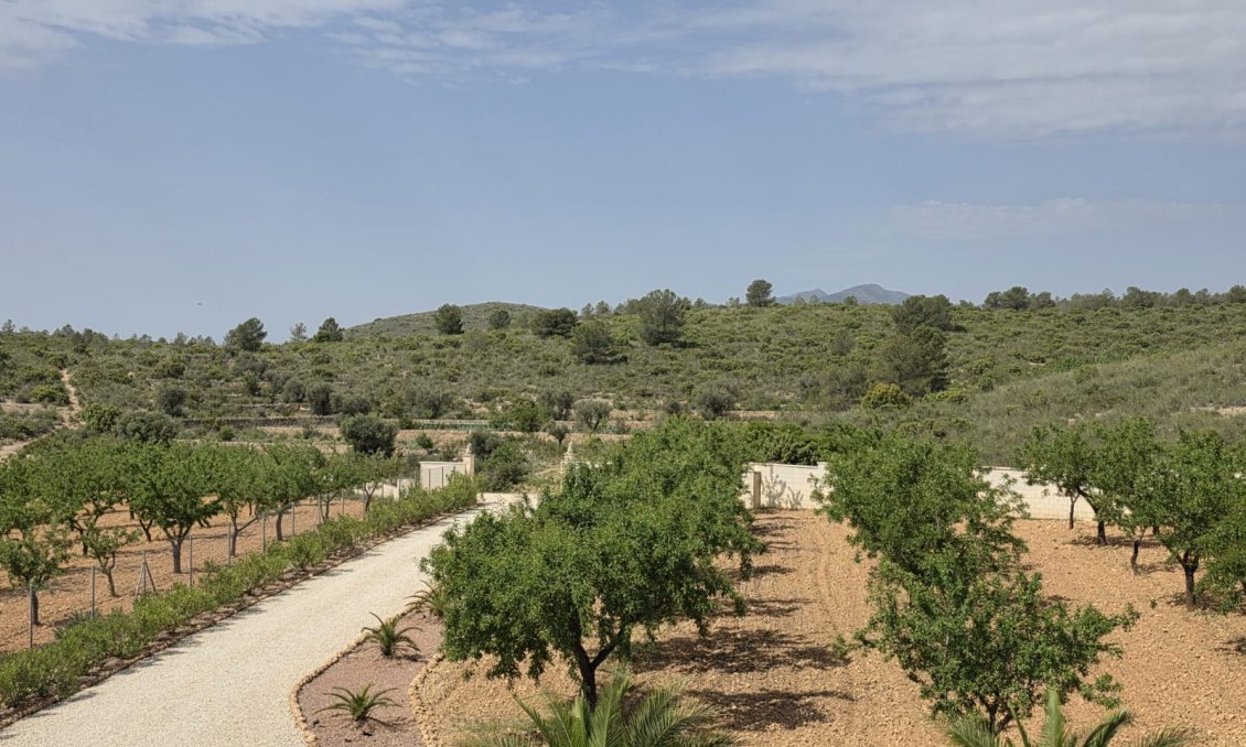 Segunda mano - Villa -
Pinoso - Inland