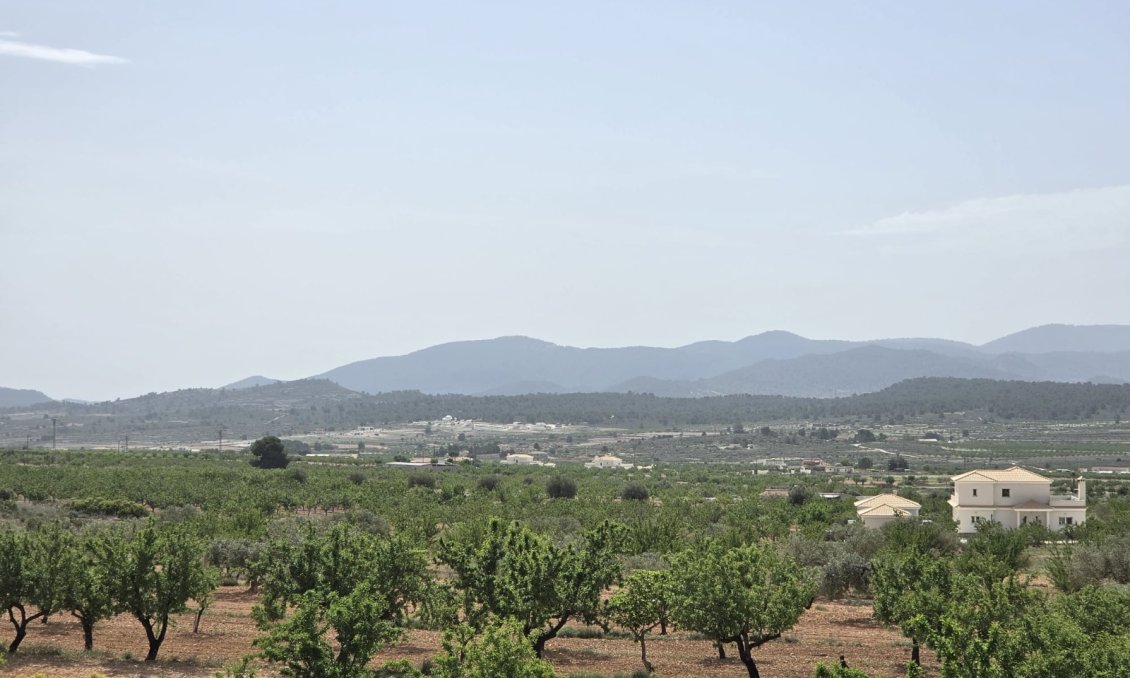 Segunda mano - Villa -
Pinoso - Inland