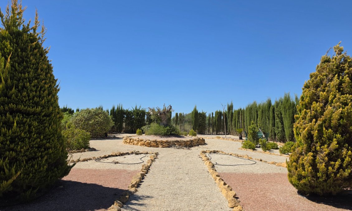 Wiederverkauf - Villa -
Pinoso - Inland