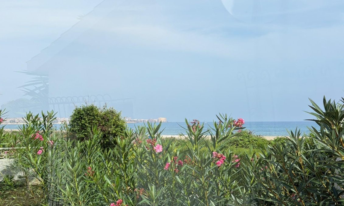 Segunda mano - Villa -
Torrevieja - Punta Prima