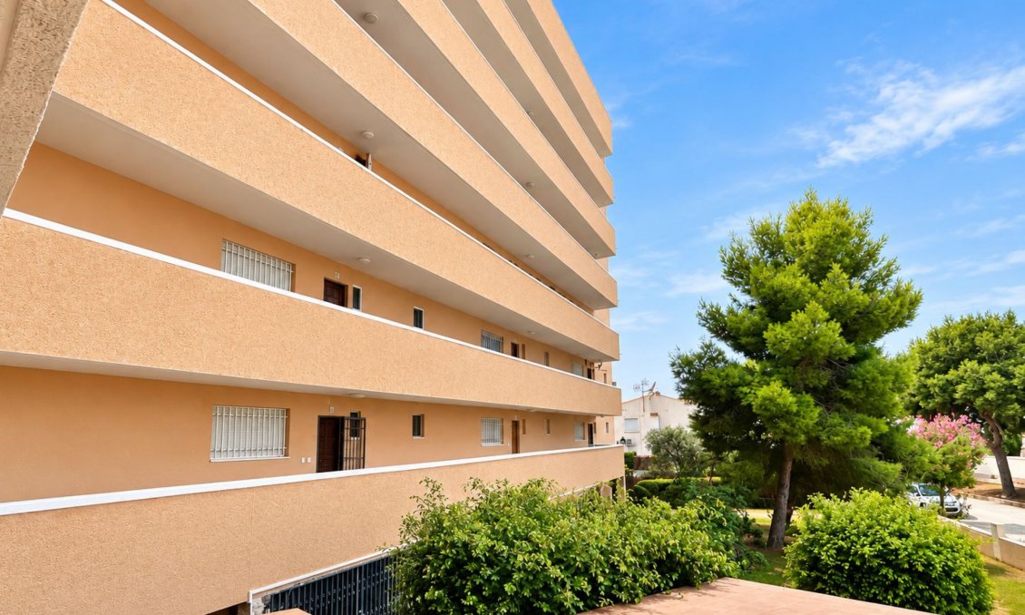 Segunda mano - Apartamento -
La Zenia - Costa Blanca