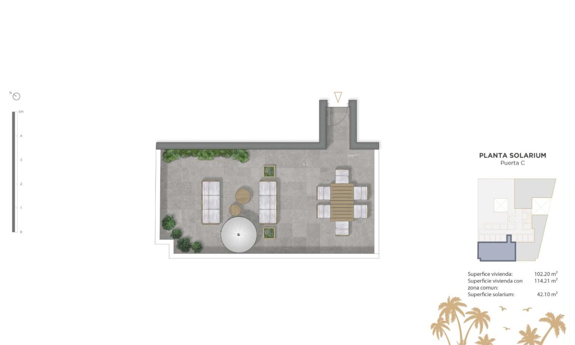 Neue Gebäude - Penthouse -
Guardamar del Segura - Pueblo