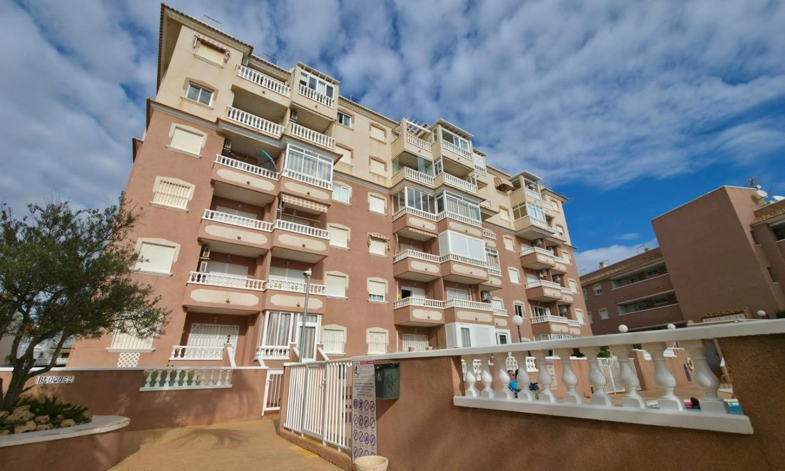 Segunda mano - Apartamento -
Torrevieja - Torreblanca