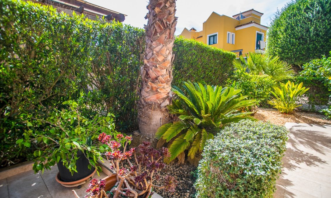Revânzare - Vilă -
Torrevieja - Costa Blanca